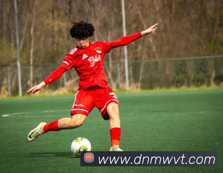 开云手机入口官方网站品牌故事