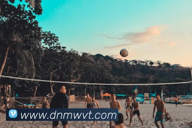 开云手机入口官方网站服务体系